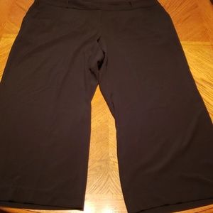 Lane Bryant dress pants